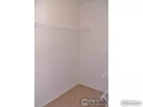 729 Elk Mountain Dr, Windsor, CO 80550 photo 14