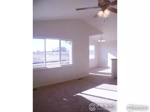 729 Elk Mountain Dr, Windsor, CO 80550 photo 9