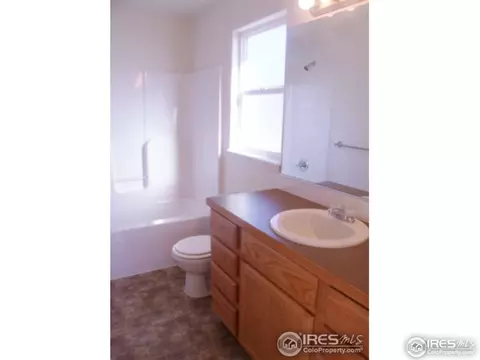 729 Elk Mountain Dr, Windsor, CO 80550 photo 17