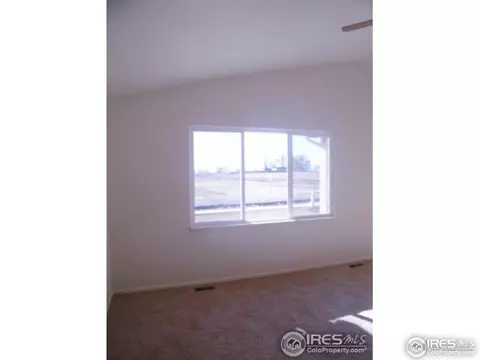 729 Elk Mountain Dr, Windsor, CO 80550 photo 10