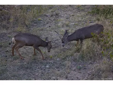 10191 City View Dr, Morrison, CO 80465 photo 32