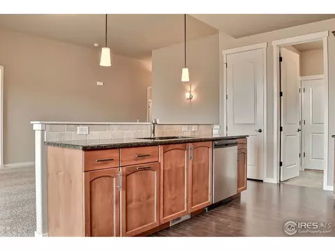 1114 Osprey Way, Wiggins, CO 80654 photo 20