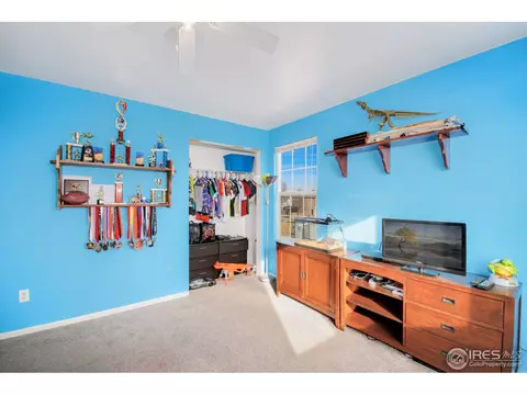 5128 E 100th Ct, Thornton, CO 80229 photo 24