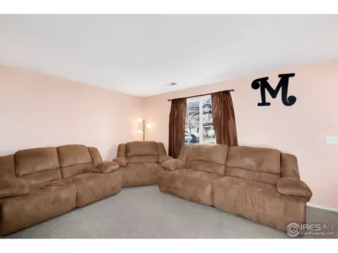 5128 E 100th Ct, Thornton, CO 80229 photo 15