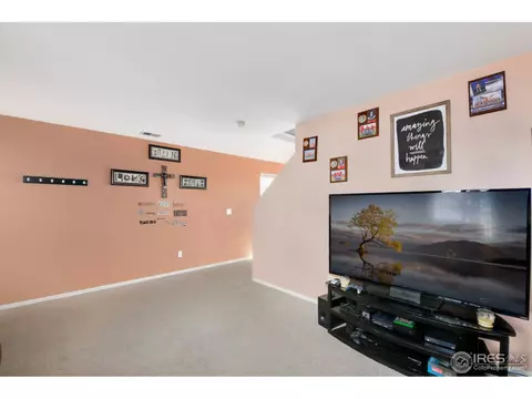 5128 E 100th Ct, Thornton, CO 80229 photo 14