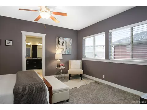 8152 E 50th Dr, Denver, CO 80238 photo 22