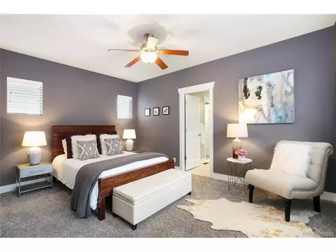 8152 E 50th Dr, Denver, CO 80238 photo 21