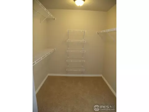 721 Elk Mountain Dr, Windsor, CO 80550 photo 13