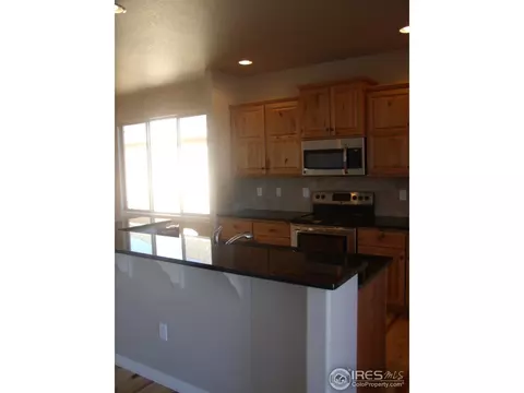 721 Elk Mountain Dr, Windsor, CO 80550 photo 5
