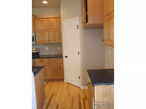 721 Elk Mountain Dr, Windsor, CO 80550 photo 6