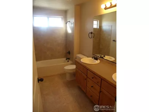 721 Elk Mountain Dr, Windsor, CO 80550 photo 12