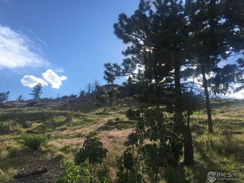 1462 County Road 83, Boulder, CO 80302 photo 3