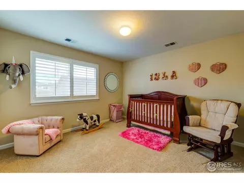 3022 E 143rd Pl, Thornton, CO 80602 photo 22