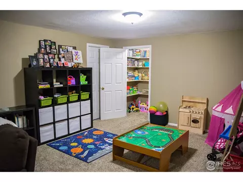 5466 Rustic Ave, Firestone, CO 80504 photo 21