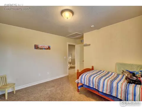 1923 Elba Ct, Windsor, CO 80550 photo 12