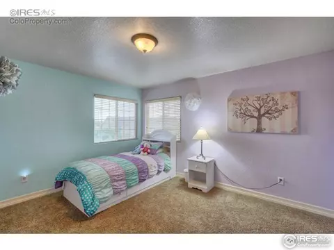 1923 Elba Ct, Windsor, CO 80550 photo 8