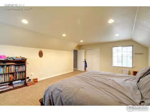 1923 Elba Ct, Windsor, CO 80550 photo 14