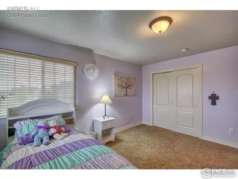 1923 Elba Ct, Windsor, CO 80550 photo 10