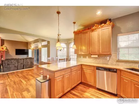 1923 Elba Ct, Windsor, CO 80550 photo 9