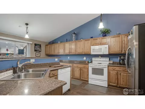 13876 Eudora St, Thornton, CO 80602 photo 12
