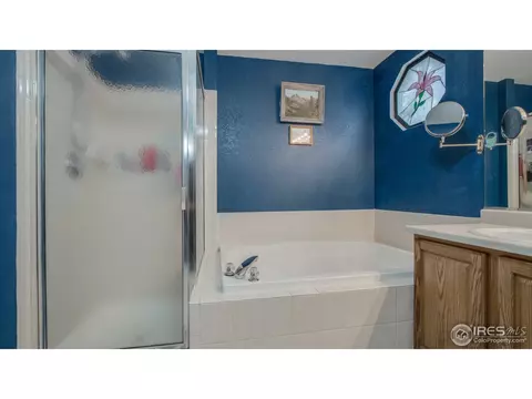13876 Eudora St, Thornton, CO 80602 photo 18