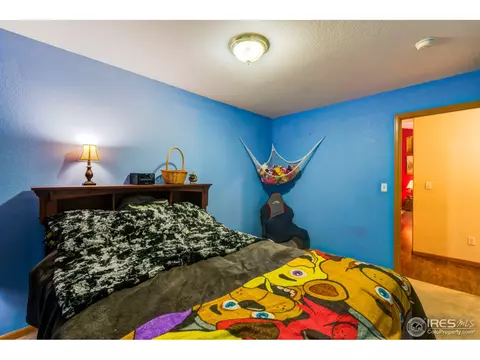 3812 Golden St, Evans, CO 80620 photo 32