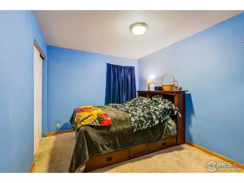 3812 Golden St, Evans, CO 80620 photo 30