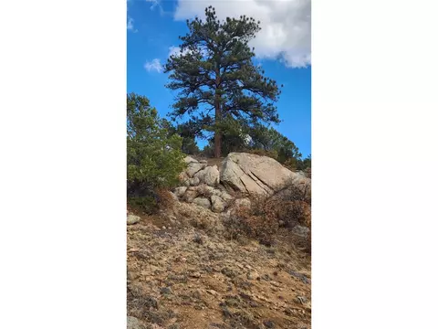 47 White Cloud Dr, Cotopaxi, CO 81223 photo 31