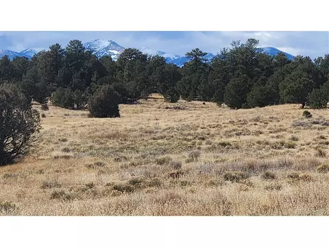 47 White Cloud Dr, Cotopaxi, CO 81223 photo 5
