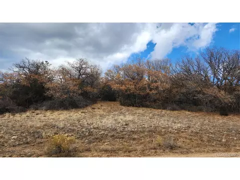 47 White Cloud Dr, Cotopaxi, CO 81223 photo 33