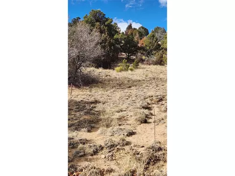 47 White Cloud Dr, Cotopaxi, CO 81223 photo 7