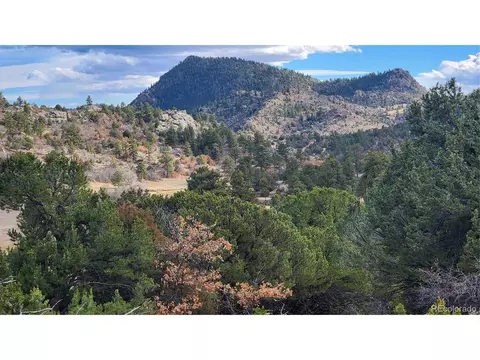 47 White Cloud Dr, Cotopaxi, CO 81223 photo 32
