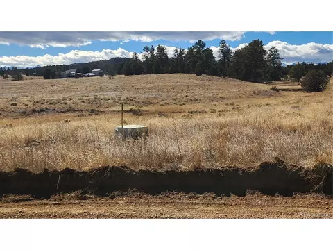 47 White Cloud Dr, Cotopaxi, CO 81223 photo 8