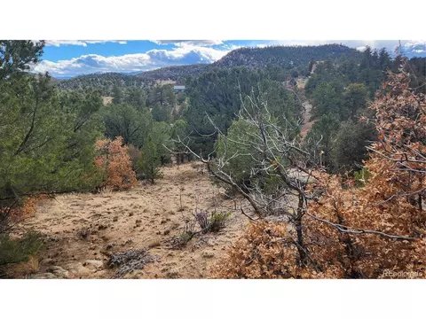47 White Cloud Dr, Cotopaxi, CO 81223 photo 35