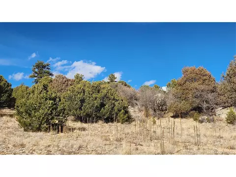 47 White Cloud Dr, Cotopaxi, CO 81223 photo 23