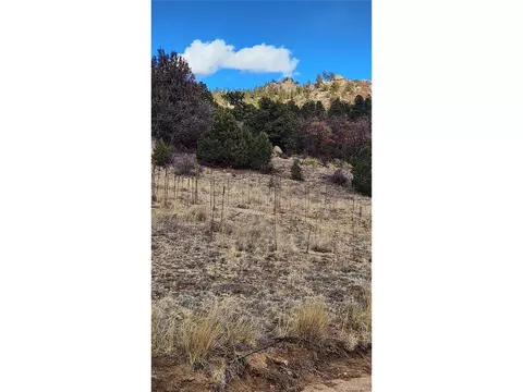 47 White Cloud Dr, Cotopaxi, CO 81223 photo 4