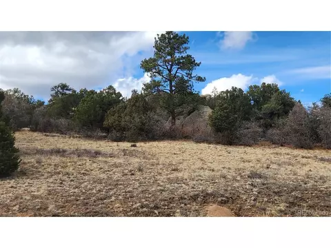 47 White Cloud Dr, Cotopaxi, CO 81223 photo 27