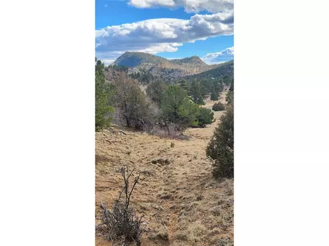 47 White Cloud Dr, Cotopaxi, CO 81223 photo 9