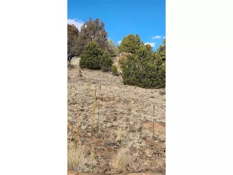 47 White Cloud Dr, Cotopaxi, CO 81223 photo 29