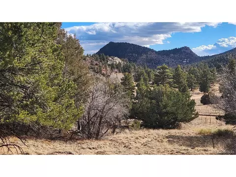 47 White Cloud Dr, Cotopaxi, CO 81223 photo 13