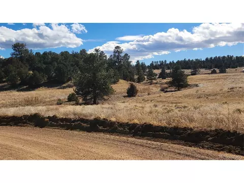 47 White Cloud Dr, Cotopaxi, CO 81223 photo 3