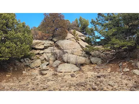 47 White Cloud Dr, Cotopaxi, CO 81223 photo 17