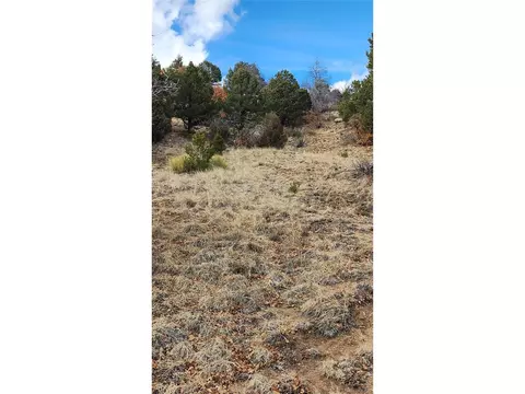 47 White Cloud Dr, Cotopaxi, CO 81223 photo 28