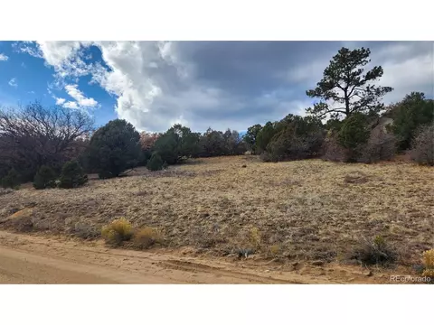 47 White Cloud Dr, Cotopaxi, CO 81223 photo 24