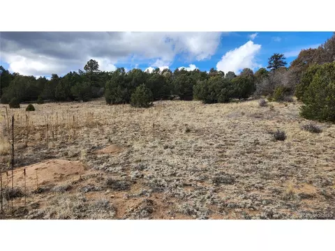 47 White Cloud Dr, Cotopaxi, CO 81223 photo 22