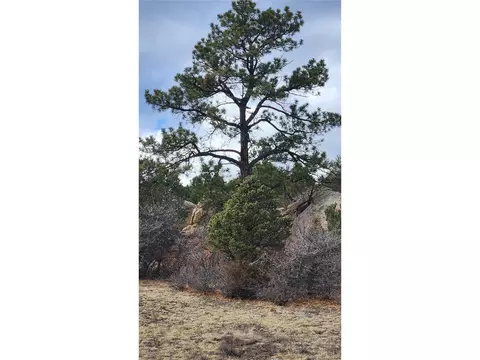 47 White Cloud Dr, Cotopaxi, CO 81223 photo 30
