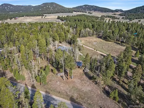 10844 Oehlmann Ave, Conifer, CO 80433 photo 30