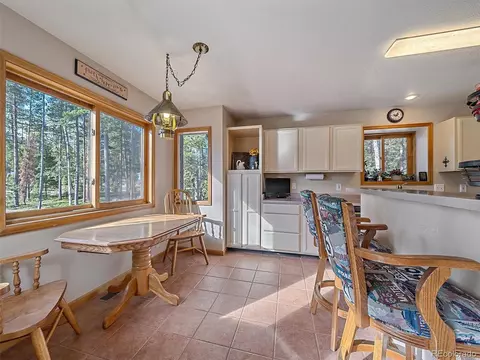10844 Oehlmann Ave, Conifer, CO 80433 photo 9