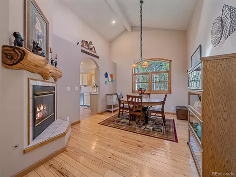 10844 Oehlmann Ave, Conifer, CO 80433 photo 8