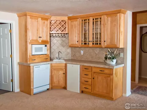 505 Lakeside Pl, Windsor, CO 80550 photo 18
